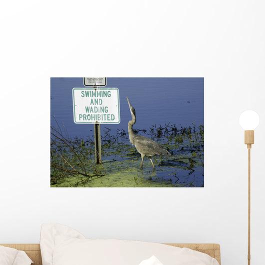 Gray Heron Wall Mural