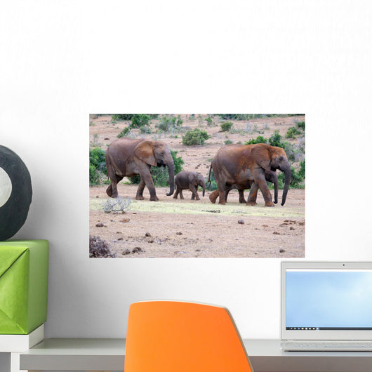 Familie Wall Mural