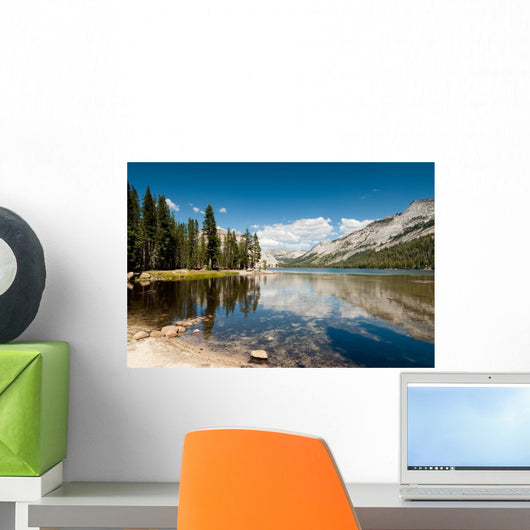 tenaya lake yosemite Wall Mural