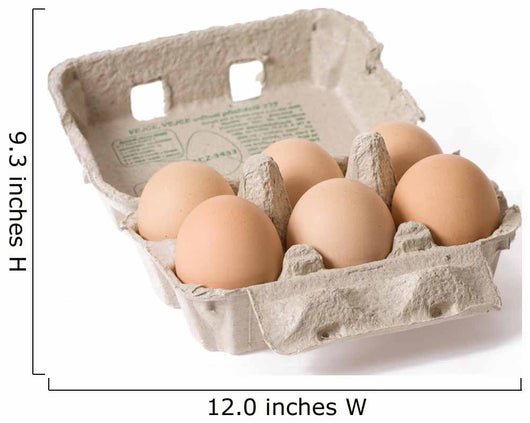 eggs in paper egg carton Wall Decal