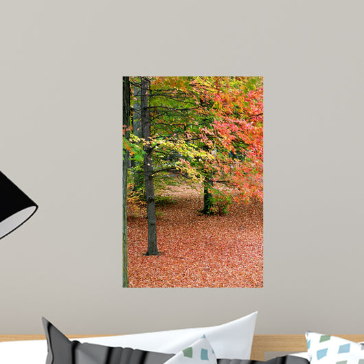 Autumn Trees