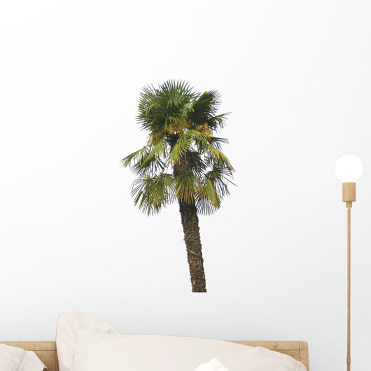 Palme Wall Mural