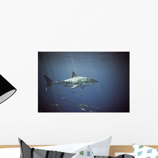Great White Shark Wall Mural