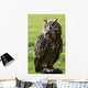 Owl Wall Mural