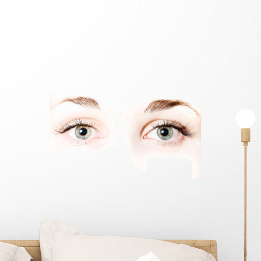 Macro Beautiful Female Eye Wall Mural