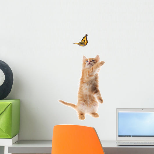 Ginger kitten playing with a butterfly Wall Decal