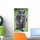 Owl Wall Mural