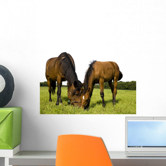 Horses Wall Mural