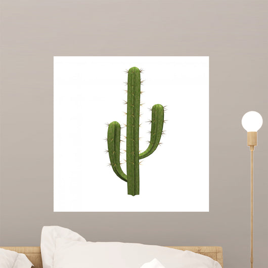 Saguaro