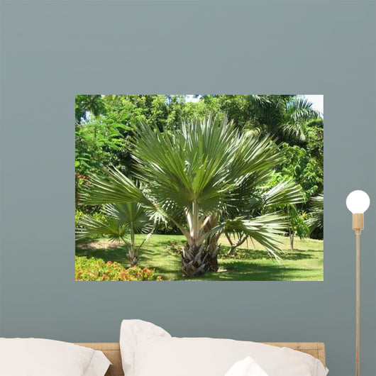Palm Wall Mural