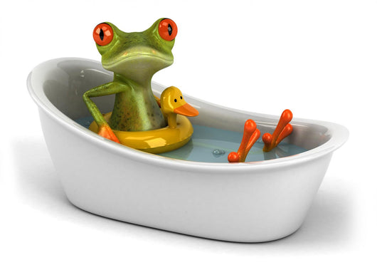Grenouille dans son bain Wall Decal