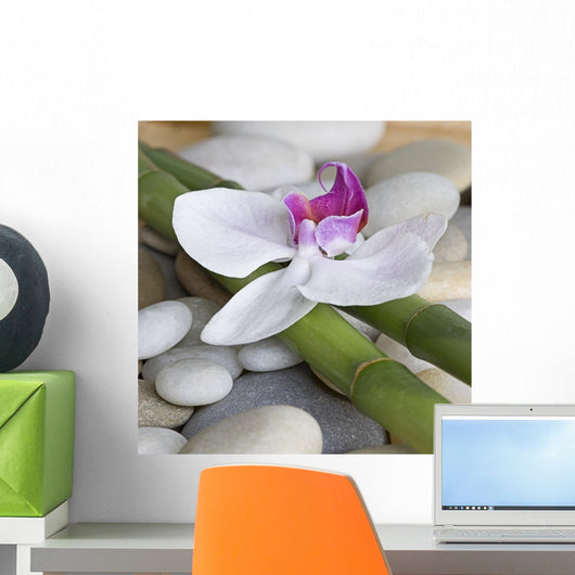 Spa Murals - Orchid on Bamboo Wall Mural