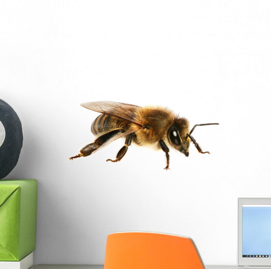 Bee Wall Decal