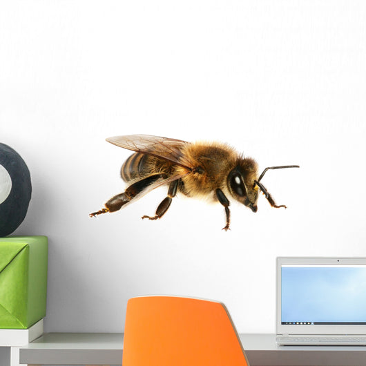 Bee Wall Decal