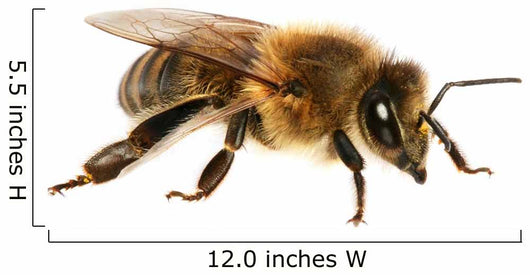 Bee Wall Decal