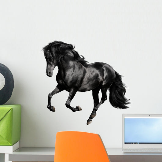 Black Horse Runs Gallop Wall Decal