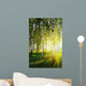 Birch Trees Summer Forest