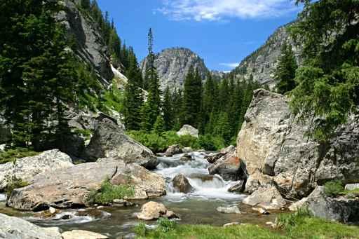 Death Canyon Wall Decal