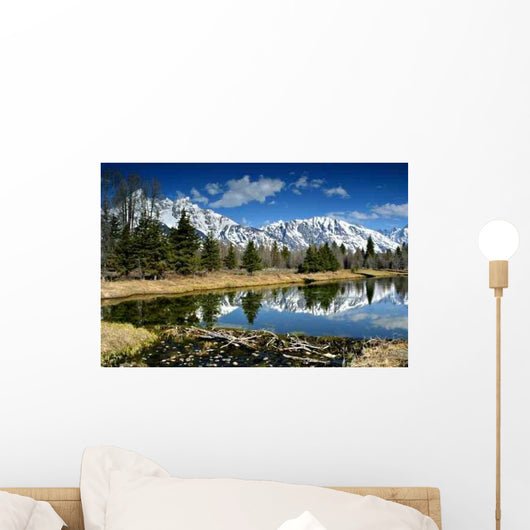 Beaver Dam Wall Decal