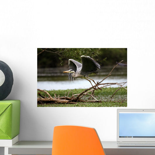 Heron Cendre Wall Mural