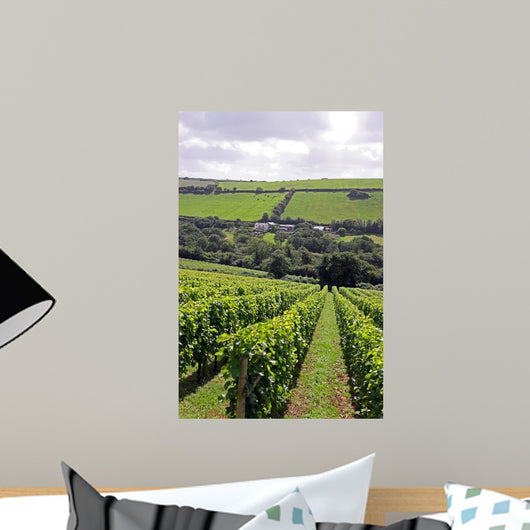 Verdant Grape Wine Vineyard