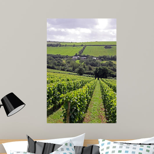 Verdant Grape Wine Vineyard