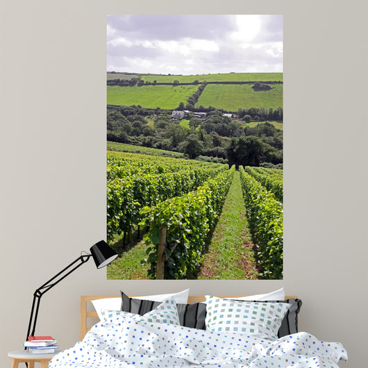 Verdant Grape Wine Vineyard