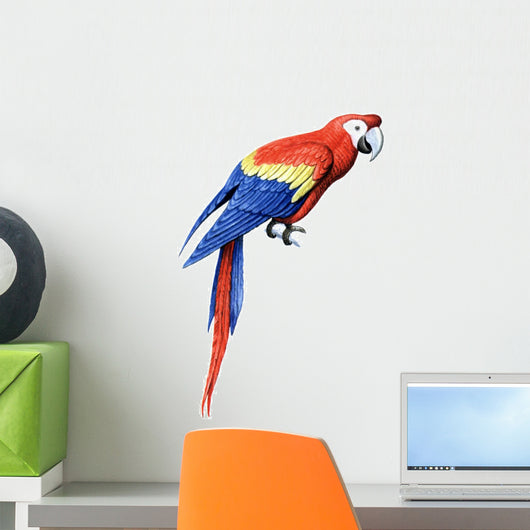 Bird Parrot Macaw Wall Decal