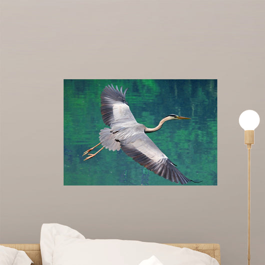 Heron