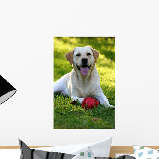 Happy Dog Face Wall Mural