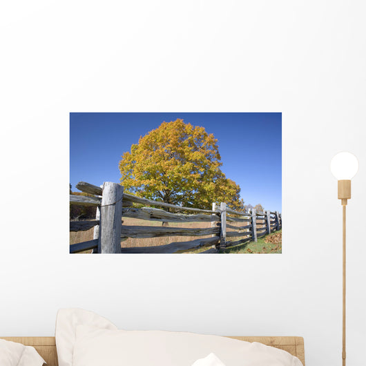 fall meadow Wall Mural