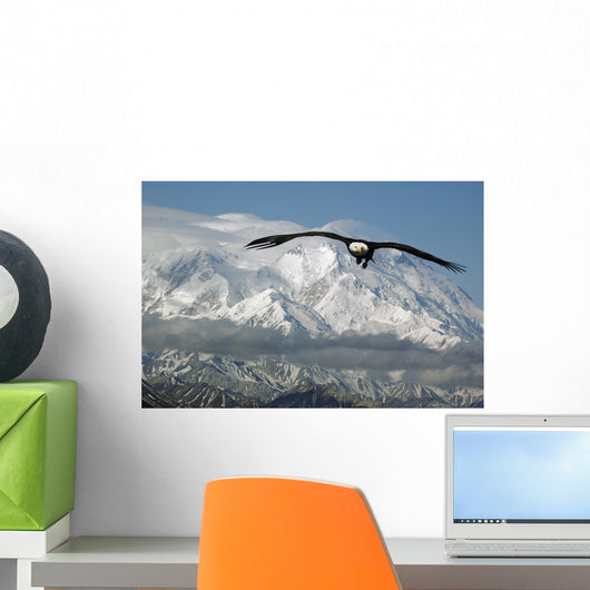 Bald Eagle in Mountains Wall Mural