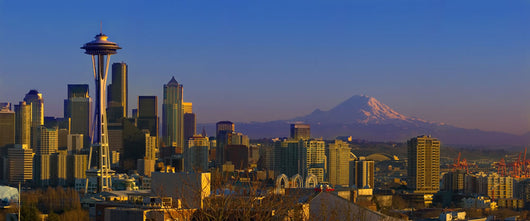 Seattle Washington as Viewed Wall Decal