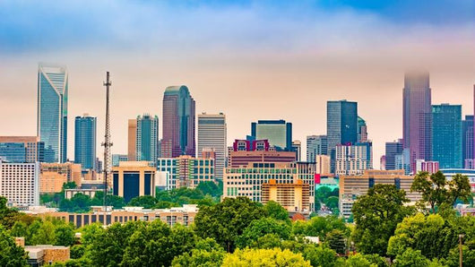 Charlotte NC Skyline Foggy Wall Decal