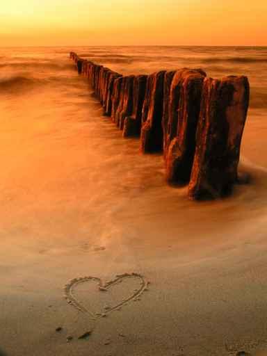 Love Wall Decal