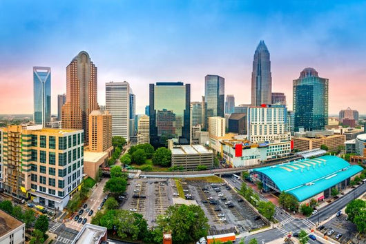 Aerial Charlotte NC Skyline Wall Decal