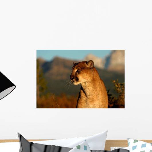 Portrait of a Cougar Wall Mural