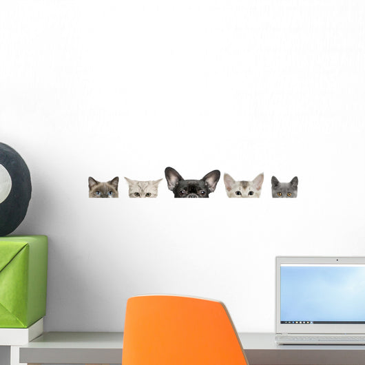 Dog Head and Cat Heads Wall Decal