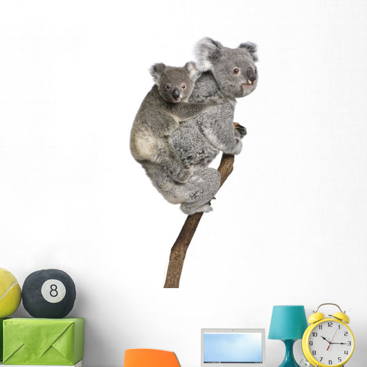 Koala Bears Climbing Tree Wall Decal