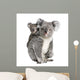 Portrait Koala Bears Front