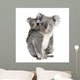 Portrait Koala Bears Front