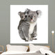 Portrait Koala Bears Front