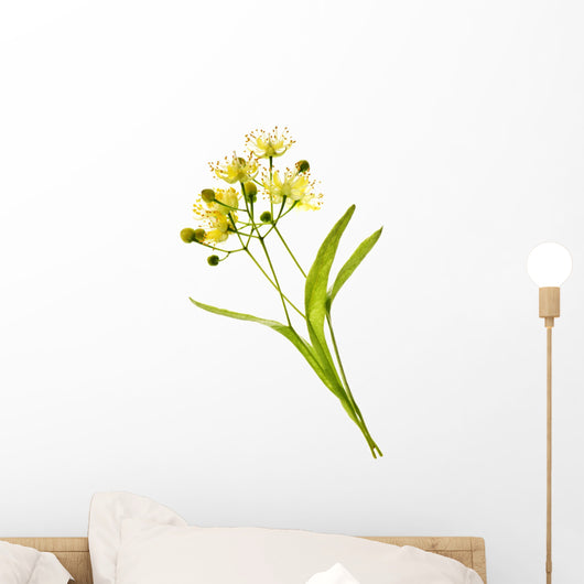 Linden Flower Wall Decal