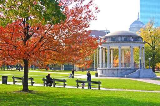 Boston Public Garden Wall Decal