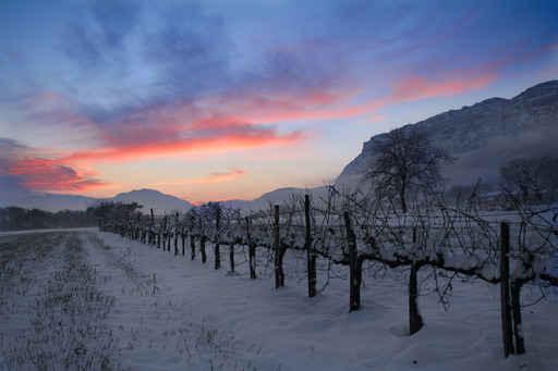 Hiver Et Couche Soleil Wall Decal