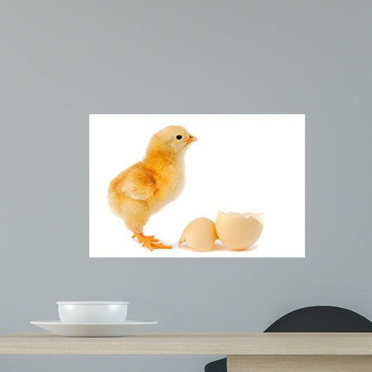Adorable Baby Chick