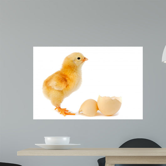 Adorable Baby Chick