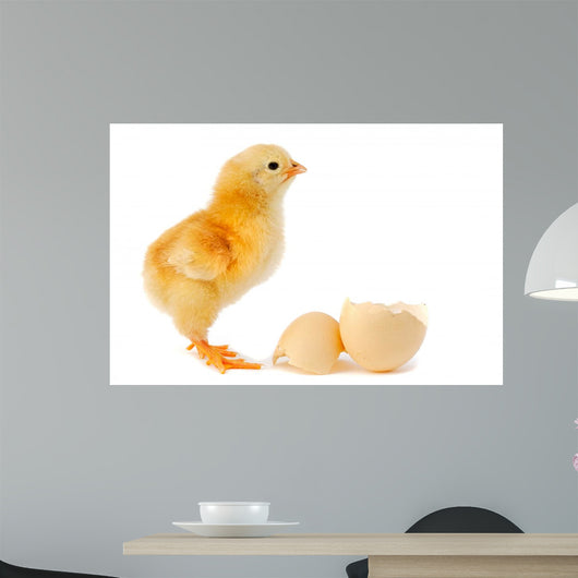 Adorable Baby Chick