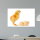 Adorable Baby Chick