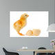 Adorable Baby Chick
